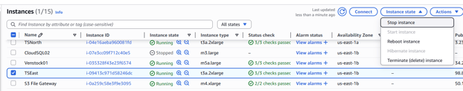 aws_stop instance